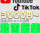 限定10枠！！お得な価格で動画編集します 全サービス込みで１本3000円！！限定10枠です イメージ1