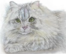 愛犬・愛猫を色鉛筆またはデジタルでリアルに描きます ペットとの思い出をあったかい似顔絵でお手元に イメージ5