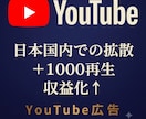 国内視聴者へYouTube動画拡散します 日本国内にてリアルな視聴者を獲得 イメージ1