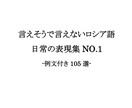 中・上級ロシア語会話の表現法が身につきます PDF『言えそうで言えないロシア語日常の表現集NO.1』 イメージ1