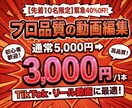 修正無制限│TikTok・ショート動画編集します モニター価格3,000円／丁寧なヒアリングと制作 イメージ1