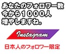 インスタ日本人フォロワー＋100人超増やします ★100%日本人アカウント★30日補填保証 イメージ1