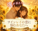 ツインレイのお相手の気持ちと魂の声を届けますます 嫌いになったの？サイレント期間に不安を抱えるあなたへ イメージ1