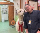 ゲート・キーパーします ただ黙ってあなたの話に耳を傾けます イメージ5
