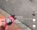 SNS向けショート動画編集します 通信高校の通いながら、SNSで毎日挑戦してます。 イメージ1