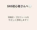SNS初心者さん向け投稿文やプロフ優しく添削します SNS初心者さんや、ママさん向けの投稿相談承ります！ イメージ1