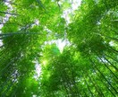 あなたの話したい！心と気持ちに寄り添いお聴きします 現役コーチが、否定せず全力であなたの味方になり心を楽にします イメージ6