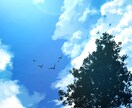 あなたのためだけの空を描きます 背景やロゴのデザインに、あなたのためだけの空を描きます。 イメージ3
