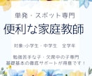 単発専門！1回単位の家庭教師いたします 勉強苦手な子・欠席中の子専門基礎基本のサポートが得意です！ イメージ1