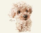 ふんわりやさしいタッチで似顔絵をお描きします 愛犬・愛猫のアイコン、プレゼント用にも！商用利用可⭐︎ イメージ7