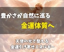 金運引き寄せエネルギーを潜在意識へ届けます お金の巡りを整え、豊かさを受け取れる体質へ イメージ3