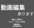 動画編集｜顔出し不要・カット＆テロップ対応ます SNS向け動画を見やすく丁寧に編集します イメージ1