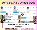インスタ 日本人いいね＋300個~増やします Instagram＊いいね＊リールOK＊複数投稿へ振り分け可 イメージ5