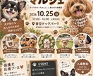 見やすく伝わるチラシを丁寧に制作します 初めての方にも寄り添い、想いが伝わる一枚に仕上げます。 イメージ6