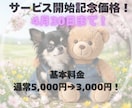 4月料金！「音と動き」のあるAI動画を制作します 4月基本料金3,000円！AIでペットやキャラが動き出す。 イメージ2