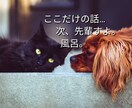 ちょっとだけ聞いて欲しい。話したい。聞きます 元気が無い時は無言でも大丈夫。同じ時間を過ごしましょう。 イメージ2