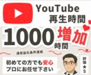 Youtube再生時間を1,000時間～増やします 収益化、YouTuber、Vtuberを目指している方向け！ イメージ1