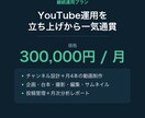 YouTubeチャンネル運用を一気通貫で代行します 企画から編集まで月4本を継続納品します イメージ1
