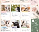 保護猫活動のInstagram投稿を作成します 写真を送るだけ！想いが伝わる投稿をお作りします イメージ3