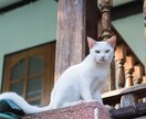 仕事やプライベートなどの悩みの相談をやります なんでも、話を聞きます。そして、アドバイスを。 イメージ1