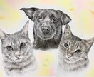 色鉛筆似顔絵肖像画描きます 世界に１つだけの愛犬、愛猫の似顔絵を原画でお渡します。 イメージ7