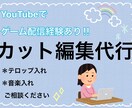 YouTubeで動画配信経験あり！動画編集やります 自分の動画配信のペースを上げたい方お手伝いします イメージ1