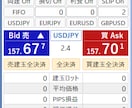MT5ー楽注ぱねるFXを販売します FX裁量トレード用楽々注文ツール(１年版) イメージ1