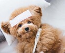 悩み相談。まずはトークルームで相談をお聴きします 気に入らなければキャンセルして頂いて構いませんよ。 イメージ2