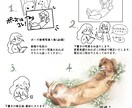 動物似顔絵・手描きの水彩で描きます 鮮やかなタッチの水彩画で、思い出をアートとして残しませんか? イメージ2