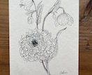 植物のペン画描きます 添付の画像のようなイラストを描きます。 イメージ1