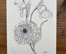 植物のペン画描きます 添付の画像のようなイラストを描きます。 イメージ1