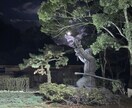 ワンコイン鑑定をします あなたを知り、与えられた使命を全うしませんか？ イメージ3