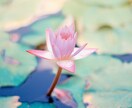 離婚したいあなたへ◆強力霊視で未来を占います 離婚や別居のタイミング・夫婦関係のお悩みを解決に導きます イメージ7