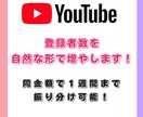 Youtubeの登録者数を自然な形で増加させます 日本人150人/1,500円～　収益化まで徹底サポート！ イメージ1