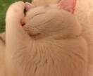 他人だからこそできるお話お聞きします ポイント無駄にする前に、私で消費してみませんか？ イメージ3