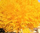 愚痴をずっと聴きます 愚痴聴き屋します。こんな世の中吐き出したい事山ほどあるはず。 イメージ7