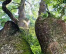 あなたの恋の相談親身に聞きます 誰かに話すだけで気持ちが楽になります イメージ1