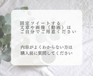 72時間ツイッターの固定ツイートに固定し拡散します 商品やサービスを宣伝・認知したい個人起業家さんにおすすめ イメージ2