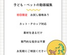 初回限定｜ファミリー向け動画編集・制作を行います 子ども・ペット向け動画制作を中心に行っています イメージ1