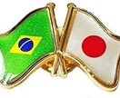 ポルトガル語をあなたに教えます 日本語がわかるブラジル人がポルトガル語を教えます‼︎ イメージ1
