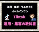 最新のtiktok　オールインワン全て教えます tiktok　運用・集客・マネタイズ・分析丸ごと全部教えます イメージ1