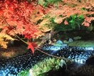 英語に関する質問に答えます。 イメージ1