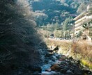 フィルムカメラで東京都周辺の撮影代行いたします スマホカメラの時代だからフィルムの一癖ある写真を。 イメージ8