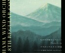 シンプルだけど暖かい演奏会のチラシ作ります プロアマ問わず、演奏会を予定している方、楽団の皆様へ イメージ1
