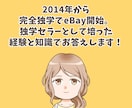 eBay初心者専用！現役セラーが相談に乗ります 他のセラーはどうしてるの？調べてもわからない！にお答えします イメージ2