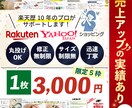 売上UPの実績あり！ECサイトの画像作ります 楽天歴10年のデザイナーがお手伝いします！ イメージ1
