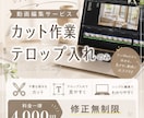 動画のカット作業、テロップ入れします 修正無制限！一律料金で用途は問いません イメージ1
