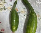 娘４人 孫８人のばぁばが聞きます 66歳の順子ばぁばが寄り添います。 イメージ9