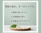 インスタ投稿テンプレート作成します 統一感のある投稿デザインを作れるCanvaテンプレート イメージ5