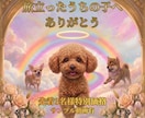 大切な愛犬のメモリアル動画を丁寧に制作します お空へ旅立った愛犬との思い出を映像に残します イメージ5